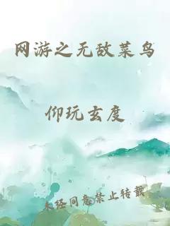 网游之无敌菜鸟