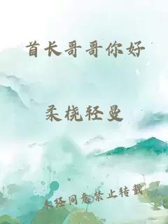 首长哥哥你好