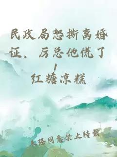 民政局怒撕离婚证,厉总他慌了!