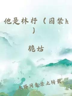 他是林杼(囚禁h)