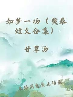 如梦一场(黄暴短文合集)