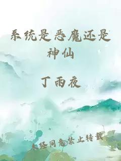 系统是恶魔还是神仙