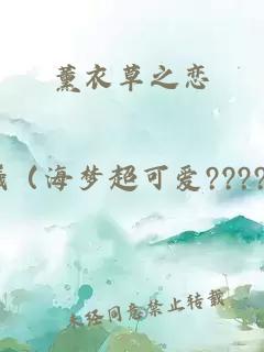 薰衣草之恋