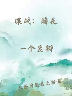 谍战:暗夜