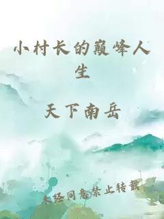 小村长的巅峰人生